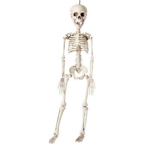 Squelette Halloween à Suspendre - PTIT CLOWN - 13444 - Plastique - 40 cm