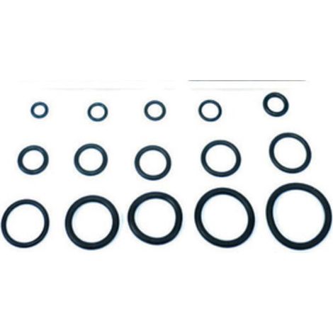 O-RING 13,60X2,70 P/CANNA LAVELLO PZ.100