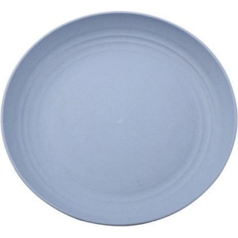 Assiettes à Dîner - Noname - 25 CM - Plastique Incassable - Lot de 4 - Compatible Lave-Vaisselle (1/2)