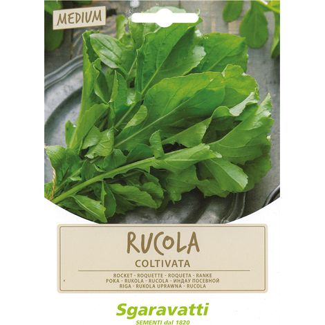 Semi per Ortaggi e Vegetali Rucola Coltivata Sgaravatti 10 Pezzi