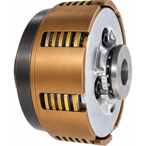 Embrague compatible con Ba1000  Ref 446920