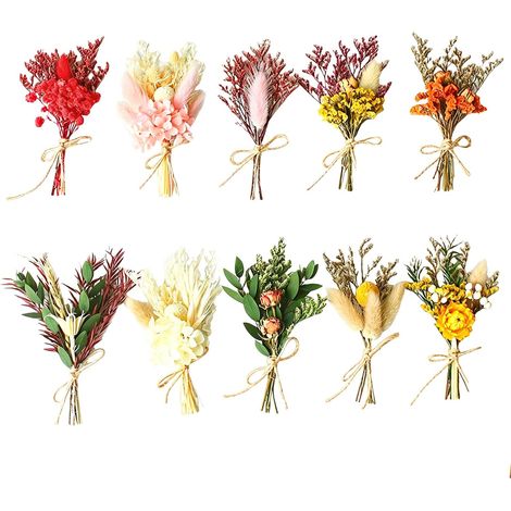 10pcs Bouquet Fleurs SéChéEs,Fleurs Sechees Naturelles,Mini Bouquet Fleurs SéChéEs,Peut êTre Utilisé pour Les Cadres Photo,Les Emballages Cadeaux,La DéCoration De Corsage Et d'autres Travaux Manuels (1/5)