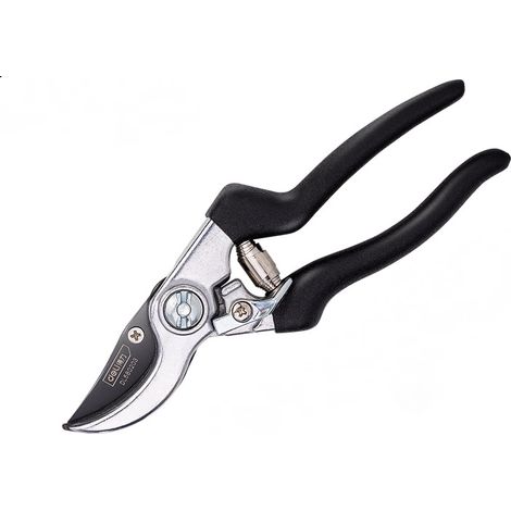 Sécateur Professionnel Jardin Acier Inoxydable Precision Coupe Branche Taille Rosier Vigne Arboriculture Léger Confortable (1/4)