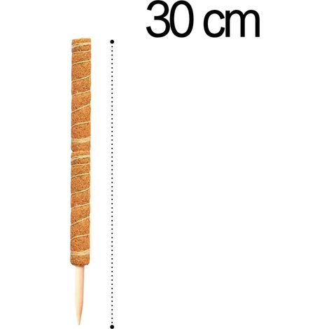 Tuteur en fibre de coco (30 cm) pour plantes grimpantes, idéal pour le jardinage et le soutien des plantes grimpantes, vignes et lianes. (1/4)