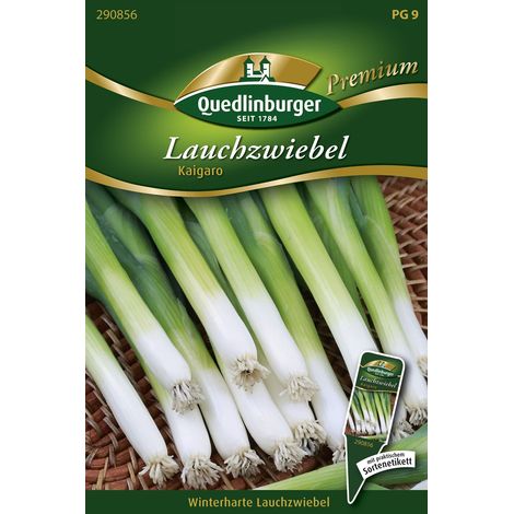 Quedlinburger Saatgut – Ciboule Kaigaro – Graines de légumes, pour env. 3 à 4 mètres linéaires (1/2)
