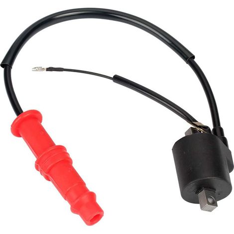 Bobina de encendido para coche de playa 3085228 3085564 Polaris Sportsman 500 96-2002 (1/5)