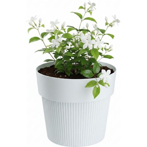 Vaso da fiori SILVA LINE in plastica riciclata, bianco, altezza 12,7x14,5 cm.