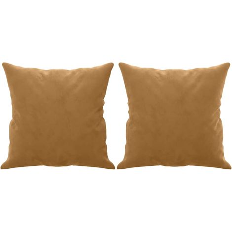 Maison Exclusive - Coussins décoratifs lot de 2 Marron 40x40 cm Velours (1/5)