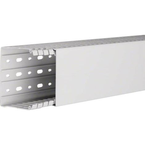 Tehalit Verdrahtungskanal 80x100,lgr HA 780100 lgr 2 Stk