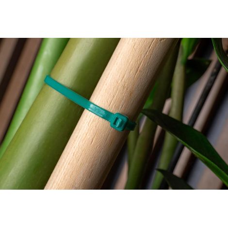 100 Colliers Serrage Vert 150x2,5mm, Courts, Résistants Température/Produits Chimiques, Jardinage