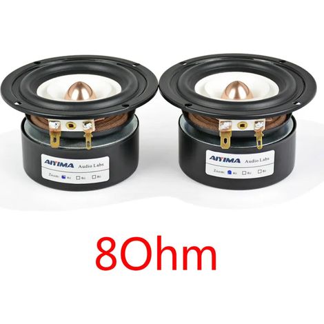 Deux haut-parleurs large bande de 3 pouces, quatre woofers et haut-parleurs médiums de 8 ohms et 15 watts, adaptés aux amplificateurs audio domestiques.