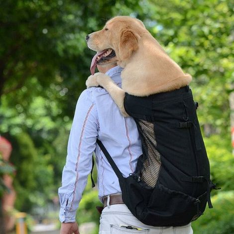 Adjustable Dog Carrier Breathable Mesh for Puppy and Outdoor Dogs Travel Backpack for Hiking and Cycling-L Black (1/5)
