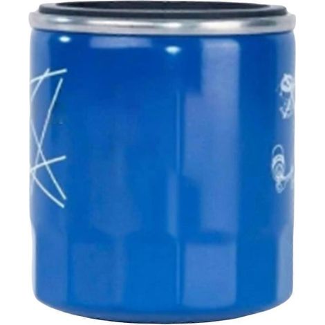 Filtre à huile automobile 10604737 compatible avec MG6 GS ZS 1.0 RX5 (1 pièce) (1/5)
