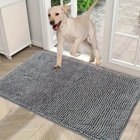 Paillasson pour pattes boueuses, avec caractéristiques : Tapis (1/5)