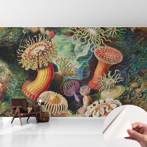 Carta da parati adesiva - lavabile - decorazione murale - per cucina - pellicola decorativa Anemoni fantastici 416x254 cm (1/5)