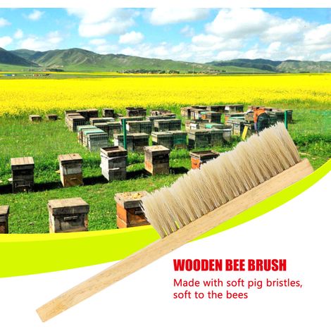 Brosse à abeilles en poils de porc souples, outil de nettoyage pour ruches avec manche en bois. (1/5)