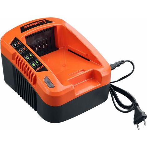 Chargeur à batterie 40V 4AH