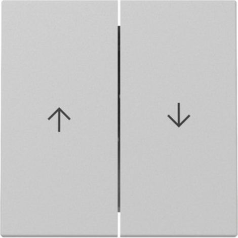 Gira Wippe System 55, 2-fach, Pfeilsymbol, Grau matt, 3294015