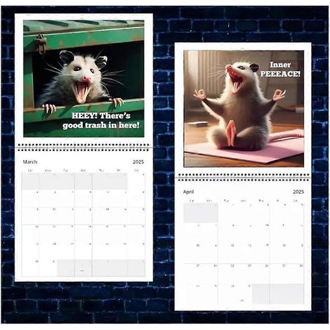 Calendrier 2025 des opossums qui crient (humour) - Calendrier mural 2025 (1/5)