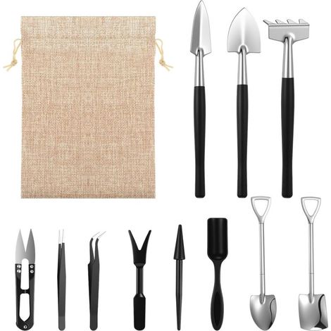 Ensemble de 12 Plantes Miniatures en Pot  Kit d'Outils de Jardinage pour Succulentes et Bonsaïs Parfait pour les Passionnés de Jardinage (1/5)