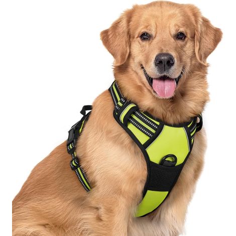 Harnais anti - traction pour chien (1/5)