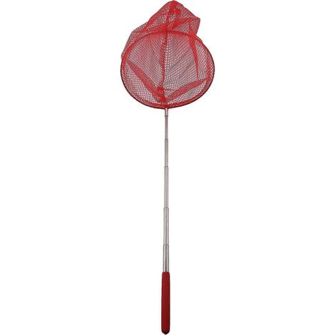 Épuisette à papillons d'extérieur / Sac à épuisette / Épuisette télescopique en acier inoxydable / Épuisette de pêche télescopique portable d'extérieur (1/5)