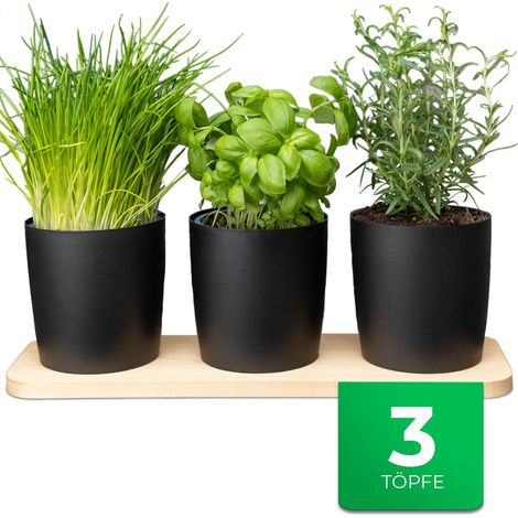 Novaliv Kräutertopf 1x Holzbrett, 3x Kräutertöpfe (1/5)