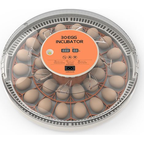 Incubateur pour 30 œufs avec retournement automatique, contrôle de l'humidité, indicateur de température et lumière bougie, distributeur d'eau externe pratique pour l'incubation de poulets, oiseaux, c (1/5)