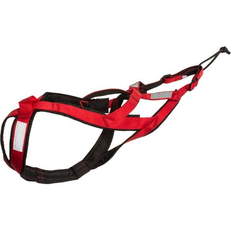 1 Harnais Mushing, Nylon Robuste, Coupe Ergonomique, Entraînement Traction, Canicross Bikejöring