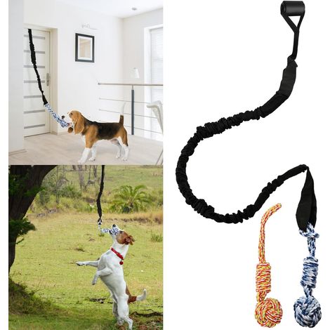 Corde élastique à ressort pour chien, jouet d'extérieur pour chiens de type Pitbull de taille moyenne à grande (1/5)