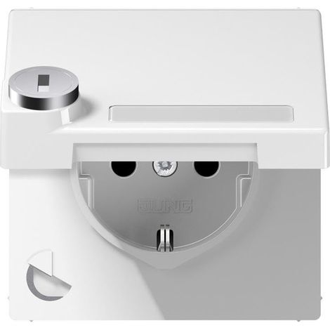Jung Prise SCHUKO®, 16 A 250 V , avec champ d'inscription, SAFETY+, couvercle à charnière, avec verrouillage de sécurité, thermoplastique, Série LS, blanc alpin LS 1520 NAKLSL WW