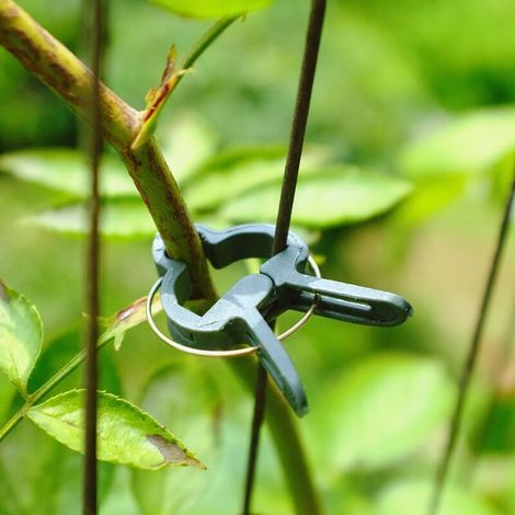 Clips de support réglables pour plantes, cache-tuteurs de jardin, structure de support, attaches pour jardin, vignes, légumes, tomates (40 pièces, clips grands et petits).