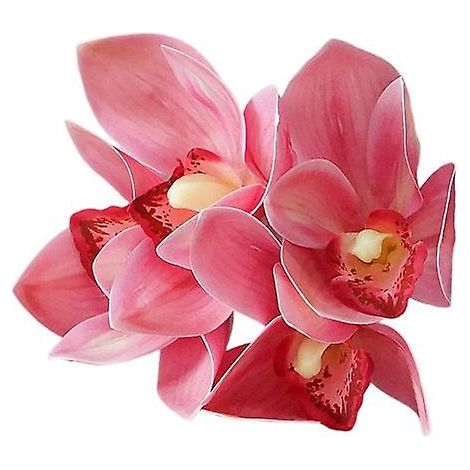 Fleur en soie artificielle, imitation exquise et pratique au toucher ultra réaliste, cymbidiumrose clair (1/5)