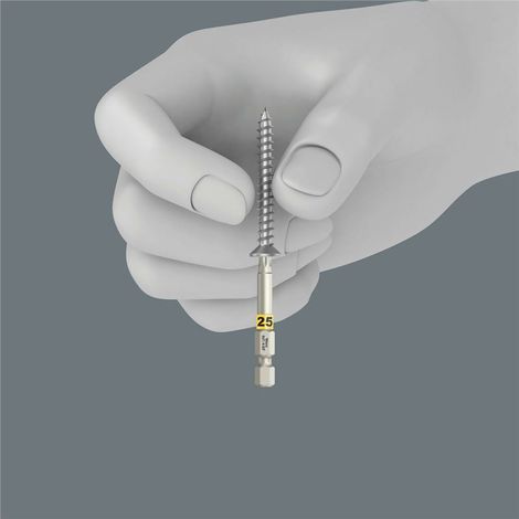 Punta Wera 867/4 Torx 25 50 mm con retención (1/3)