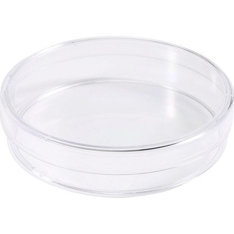 Boîte de Pétri Stériles avec Couvercles Plaque de Culture Bactérienne 55 x 15 mm Lot de 10