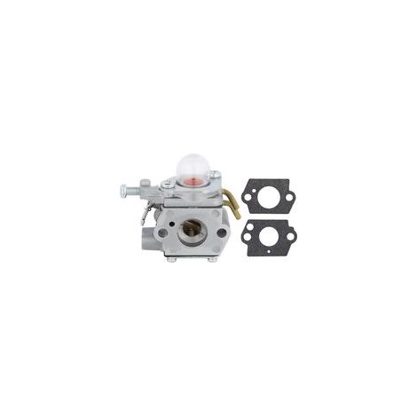 Carburateur Homelite UT08580 UT08981 Pièce de Rechange 308054001 901552001 C1UH142 (1/4)