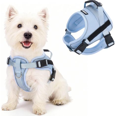 Harnais Anti-Traction réfléchissant Respirant (Bleu, XS) (1/5)