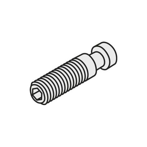 Torx-Senkkopfschraube ISO US 4007-T07P Bruttogewicht 0,1g PRAMET (1/2)