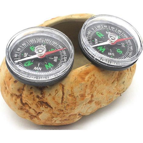 Nouvelle boussole de précision portable miniature, guide pratique pour le camping, la randonnée, la navigation nordique et la survie, avec boussole à boutons. (1/5)