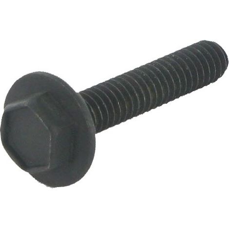 Vis de bobine BRIGGS ET STRATTON 691061