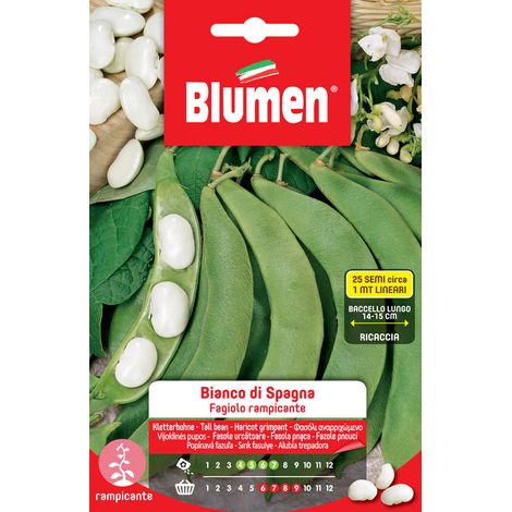 SEMI DI FAGIOLI RAMPICANTI BIANCO DI SPAGNA