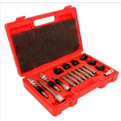 KIT DI CHIAVI PER SMONTAGGIO PULEGGIA E ALTERNATORE MOTORE AUTO 18 PEZZI VALIGIA (1/2)
