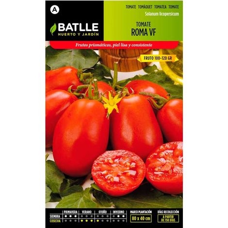 Semences de tomates Roma VF