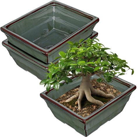 2er-Set Keramik Bonsai-Töpfe mit Entwässerungsloch, flache Pflanzschalen 25.5cm (1/5)