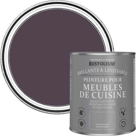 Peinture Violette pour Meubles de Cuisine, Finition Brillante - Jus de raisin 750ml (1/5)