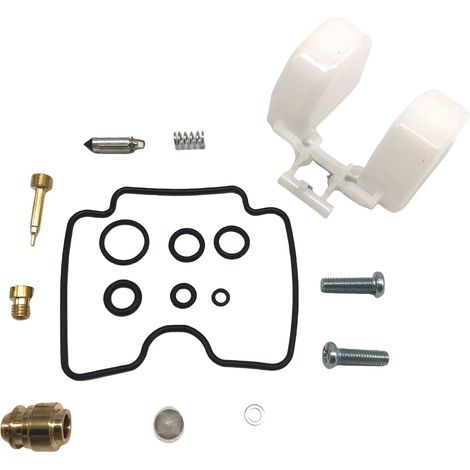 Kit orf réforrtiorn ctorrburtorteur - cormptortibgivthere XVS1100 - T75 (1/4)