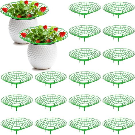 20 soportes para fresas, soporte para plantas de fresa con 3 patas resistentes, estantes para cultivar fresas, marco para cultivar fresas, mantiene las fresas limpias (1/3)