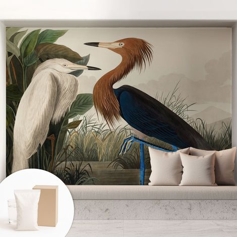 Papier peint intissé mural avec imprimé pour décoration pour salon pour chambre à coucher pour entrée Oiseaux dans la végétation 208x146 cm (1/5)