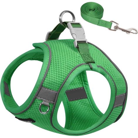 Harnais et Laisse pour Chiot pour la Marche, Harnais pour Chien, Doux et Respirant, Bandes réfléchissantes, pour très Petits Chiens et Chats domestiques Vert XXXS (1/5)
