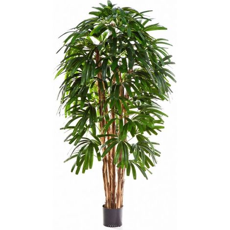 Palmier Raphis artificiel en pot multi troncs FEU RETARDANT H 180 cm - dimhaut: H 180 cm - div: F